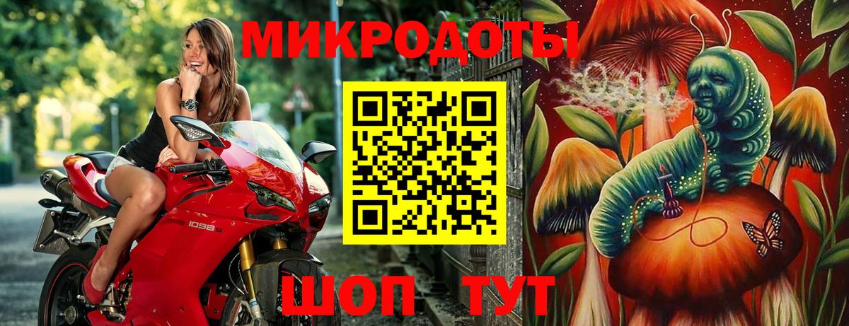 Новосибирск  Псилоцибиновые грибы мухоморы  Псилоцибиновые грибы Psilocybe  Вход с VPN 