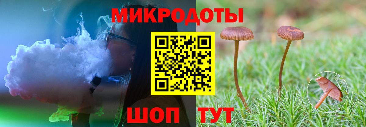 Псилоцибиновые грибы мухоморы Новосибирск