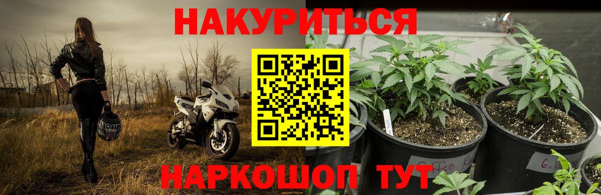 Бошки марихуана White Widow  Каннабис LSD WEED  Конопля планчик  Новосибирск  Вход с VPN  Конопля конопля 