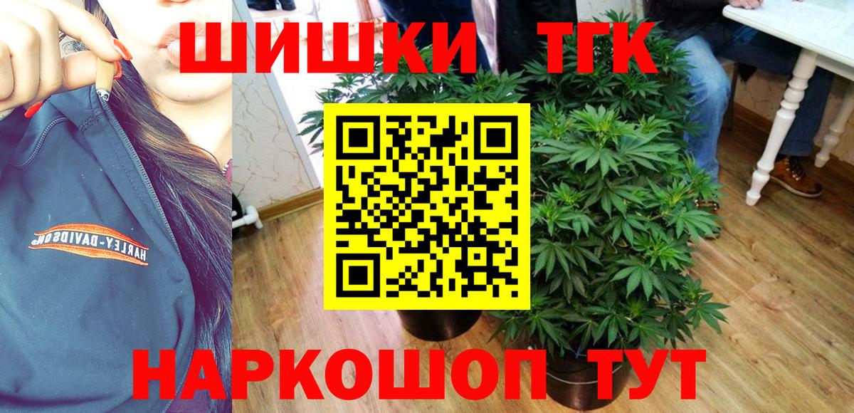 Канабис сатива Новосибирск